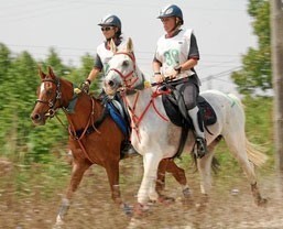 Junior/Young Rider European Endurance Championships 2008