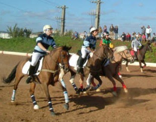 Horseball: Uma lufada de ar fresco...