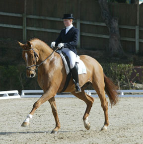Circuito do Sol: Alemães protagonistas da última semana do CDI3*