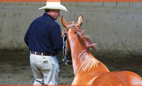 Opini&atilde;o: Monty Roberts …o Ilusionista