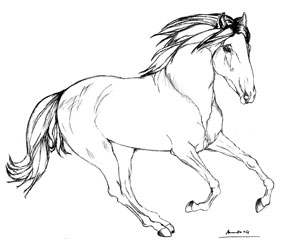 Exposição de desenhos equestres de Maria Ana Beja da Costa
