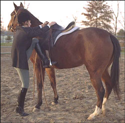 The Mounting method affects saddle pressure