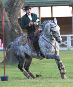 Pedro Torres venceu a I Jornada do Cto. Nacional de Eq. de Trabalho