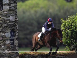 Faleceu amazona irlandesa de Concurso Completo