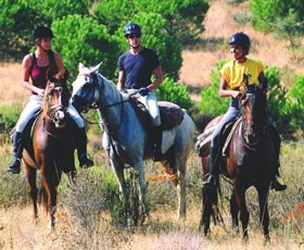 Turismo Equestre poderá gerar entre 250 e 350 Milhões de euros de receitas