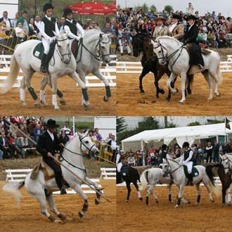 Academia Equestre J. Cardiga em foco na Festa do Cavalo