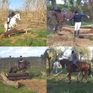 Pólo Equestre – EPADRC acolhe arranque do Cto. Nacional de TREC