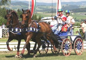 Lusitanos do Monte da Ravasqueira, em segundo lugar em Altenfelden