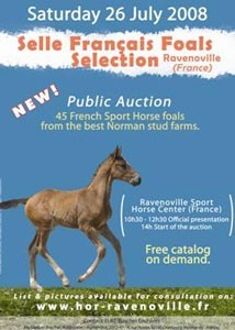 Leilão de Poldros em Ravenoville