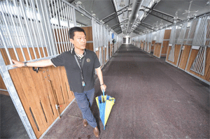 Olympic horses shiver in sub-tropical Hong Kong