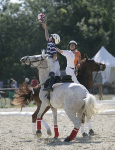 CN Masters esteve na 2&ordf; Feira do Cavalo em Ponte de Lima