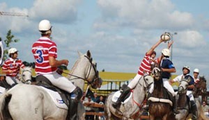 CN Masters integrou o programa da 1ª Feira do Cavalo da Bairrada em Oliveira do Bairro