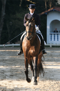 A versatilidade e funcionalidade dos cavalos da Interagro