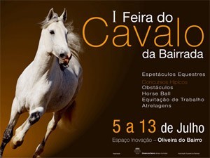 Feira do cavalo da Bairrada com espectáculos taurinos