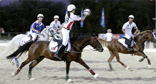 O sonho portugu&ecirc;s continua...