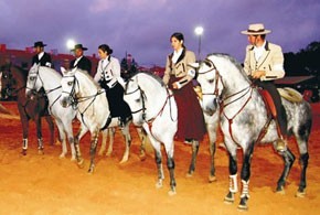 Agro-Expo apresenta espectáculo equestre "Campo em Festa"