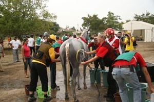 Portugal to host the Endurance Nations Cup 2008