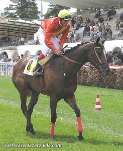 Segundo Grande Pr&eacute;mio do ano para Cerqueira