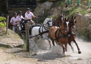 Três portugueses inscritos no Campeonato do Mundo de 4 cavalos 2008