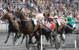 1&ordm; Curso de J&oacute;queis de Trote Atrelado