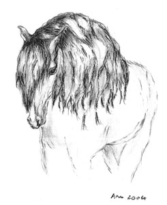 Maria Ana Beja da Costa lança "ExpoEquitas"