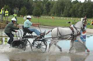Ouro e Bronze para a Holanda no Cto. do Mundo de 1 Cavalo