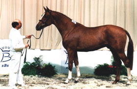 Ste. Hermelle oferta de emprego