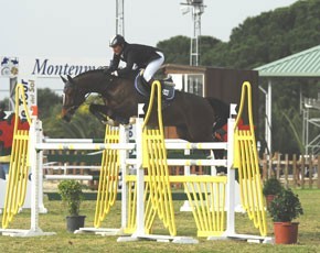 Dois cavalos de Beat Mändli à venda...