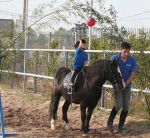 Centro H&iacute;pico Quinta do Rei em foco