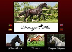 Dressage Plus - Equestrian Sport Ltd. - launches today its official webpage