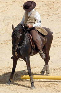 Golegã recebe a I Taça de Portugal de Equitação de Trabalho