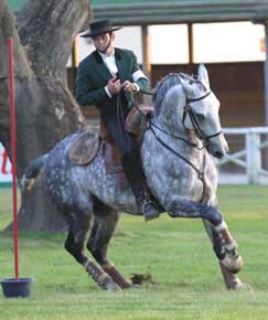 Equita&ccedil;&atilde;o de Trabalho nos Jogos Ol&iacute;mpicos?