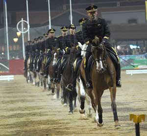 Cavalo Lusitano encanta multidão na Golegã