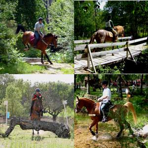 J&aacute; s&atilde;o conhecidos os Campe&otilde;es Nacionais de TREC 2008