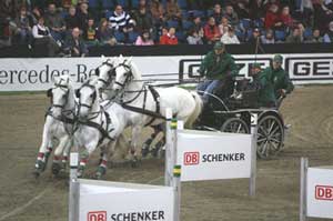 Dobrovitz steals the show in Stuttgart