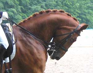 FEI emitiu novo comunicado em relação ao assunto de Hiperflexão