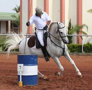 Brasil: Equita&ccedil;&atilde;o de Trabalho encerra temporada com provas de alto n&iacute;vel