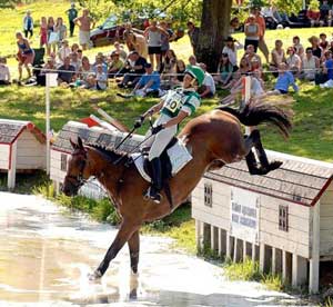 Mary King's heartache as Olympic horse Call Again Cavalier is put down