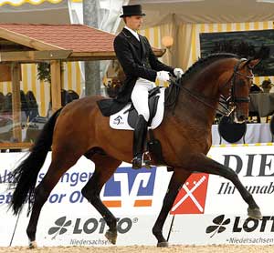 Incolor e Romanov os melhores garanhões Oldenburg em 2008