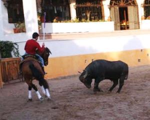 Jo&atilde;o Moura Filho lidou um b&uacute;falo &agrave; porta fechada