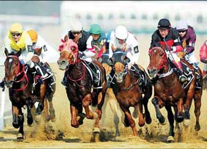 China to legalise horse racing and betting