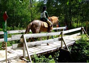 I Encontro Nacional de TREC na Benedita
