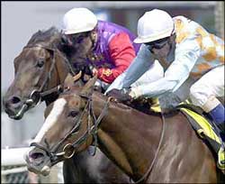 Guatemala racing row turns deadly