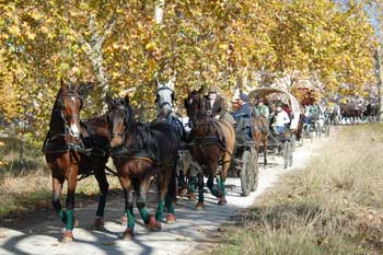 Passeio Tradicional de Ano Novo da APA