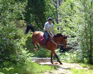 Quinta da Gandarinha promove o TREC