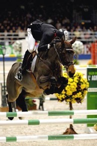 Conhe&ccedil;a alguns dos "cracks equinos" mais ganhadores em 2008