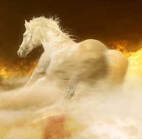 Procuram-se Cavaleiros de Topo para Espectáculo Equestre