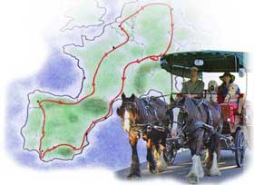 A cavalo por uma Europa sem transg&eacute;nicos