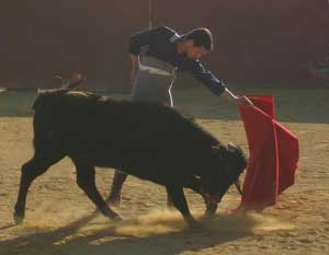 Jo&atilde;o Diogo Fera apura t&eacute;cnica no campo Andaluz