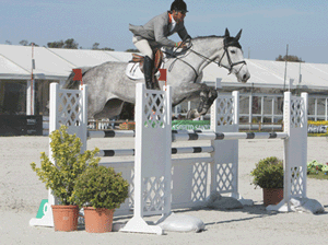 Cerca de 100 cavalos na jornada inaugural de Vilamoura